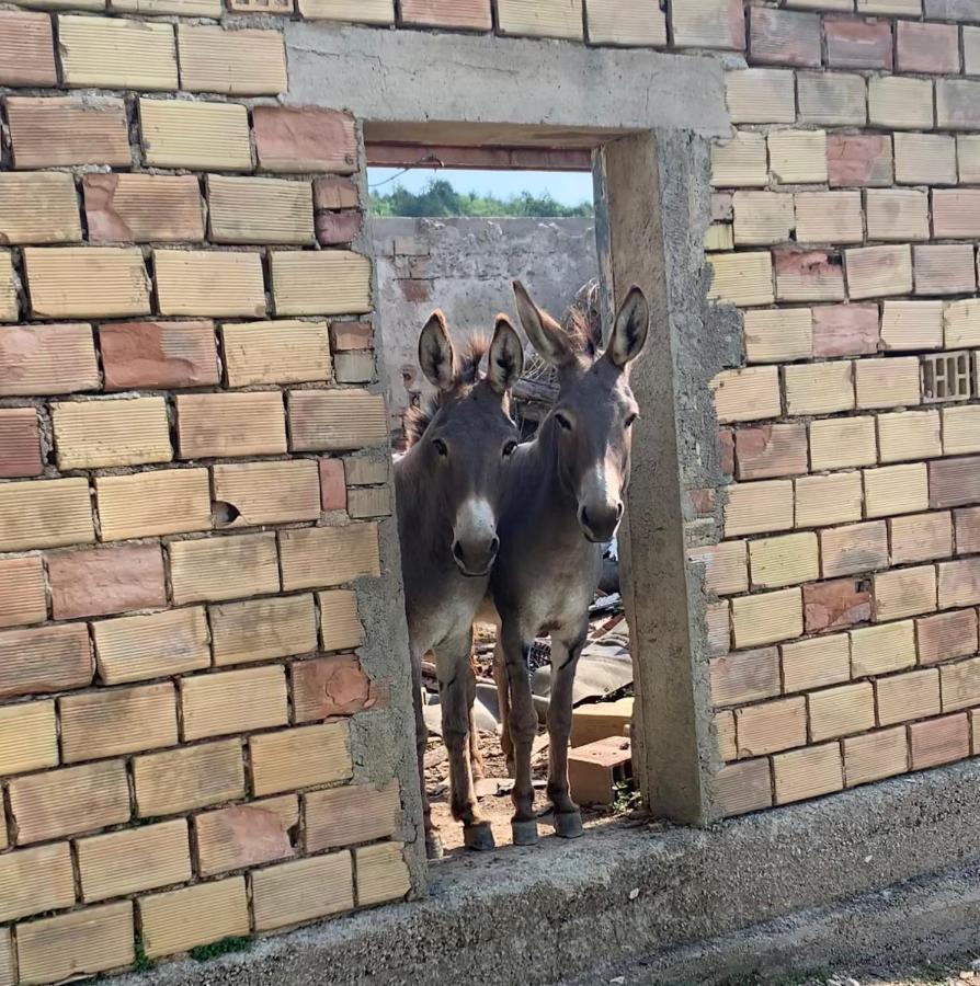 Guesthouse Gospodi Cerovlje Zewnętrze zdjęcie